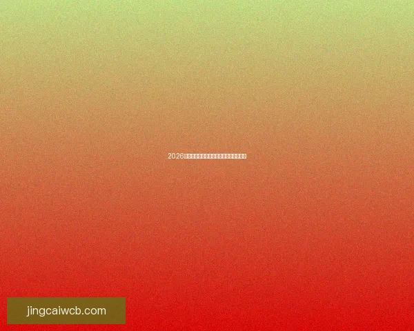 2026世界杯投注网站推荐与分析最新动态详解